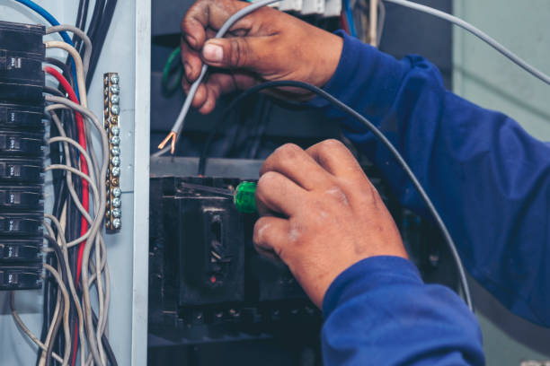 Best Licensed Electrician  in Bear Valley Springs, CA